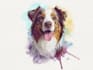do a custom pet portrait, dog portrait, cat portrait