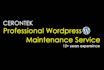 do wordpress maintenance and updates monthly