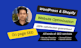 optimize onpage SEO for wordpress and shopify websites