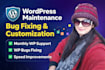 do wordpress website maintenance and wordpress support or fix issues