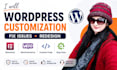 edit wordpress, customize, fix, update and redesign website
