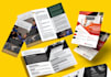 business flyer design within 12 hrs