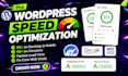speed optimize wordpress website, google pagespeed insights, page speed gtmetrix