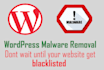 remove malware from the hacked website, virus removal