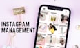 manage your instagram account plus bonus