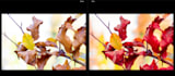 edit photos in adobe lightroom