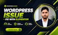 fix any wordpress issues with elementor, elementor issues, and CSS issues