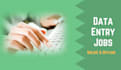 do data entry and data analysis