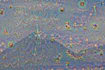 deep dream 10 images