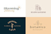 design minimalist hand drawn botanical logo branding