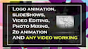 create professional  logo animations or intro within 2 hrs
