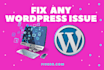 fix any bug related to wordpress and woo commerce website
