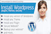setup wordpress theme as like demo in 1 hour