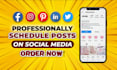 schedule posts on instagram, facebook and all social media