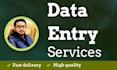 do all types of data entry work