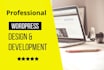 build a professional  wordpress website or blog