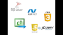 debug, improve or change your c sharp,js,html,css,sql app