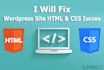 fix your wordpress site html and CSS issues