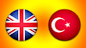 translate english to turkish