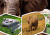 design Banners And Headers
