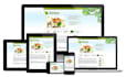 make your website mobile friendly and responsive for all device