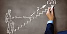 write a CEO executive resume,cv, cover letter
