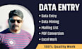do expert data entry work