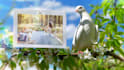 create beautiful wedding photo gallery