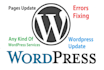 fix wordpress issues, errors and will update wordpress website