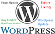fix any wordpress issue or will update wordpress website