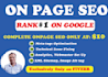 do onpage SEO and technical optimization for your website