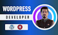 do wordpress website development and agency website