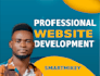 build professional website design, design wordpress website