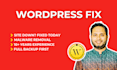 fix any wordpress error, bug, malware or issue on your website