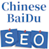 do professional baidu seo,baidu ranking,china search engine
