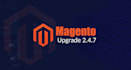 solve magento 2 bugs, theme, customization, maintenance