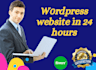 design a professional wordpress website in 24 hours