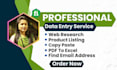 be your virtual assistant for data entry, copy paste, PDF to excel, email leads