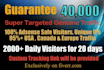 drive 40k us super targeted genuine traffic