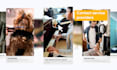 create video ads for social media campaigns