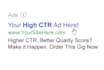 professionally copywrite your google adwords PPC ads
