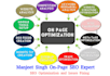 professionally perform on page SEO optimization