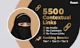 do 5500 tiered contextual SEO link building for google ranking