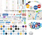 do top local SEO citation, google my business