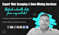 do web scraping and data mining services
