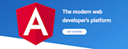 develop angular web app