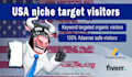 send USA niche targeted organic traffic from google