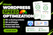 increase wordpress speed optimization for google page speed insights, gtmetrix