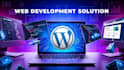 do basic and professional wordpress website plus blog