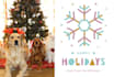design greeting cards and postcards